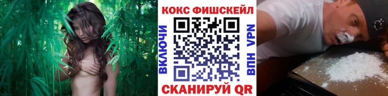Cocaine VHQ  купить   blacksprut ссылка  Омутнинск 