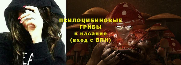 apvp Горно-Алтайск