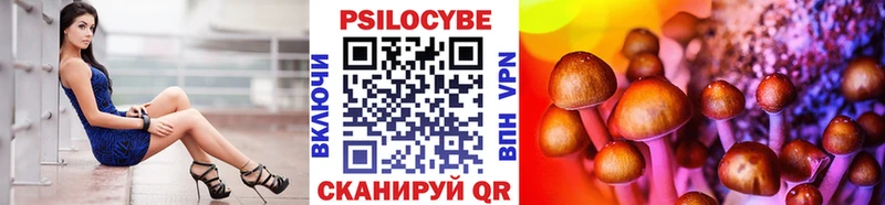 площадка формула  Омутнинск  Галлюциногенные грибы мицелий 